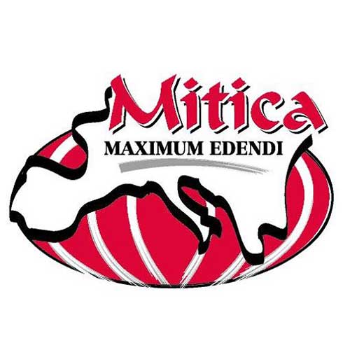 Forever Cheese Deli Market News