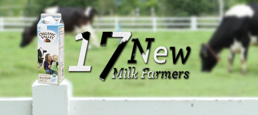 Organic Valley Adds 17 New Farmers to Its Milk Collective