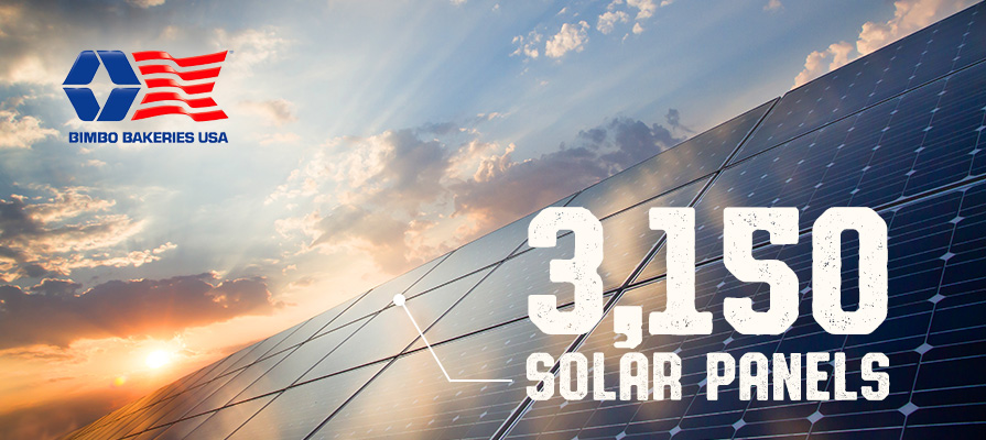 Bimbo Bakeries to Install 3,150 Solar Panels in Sustainable Energy Exploration
