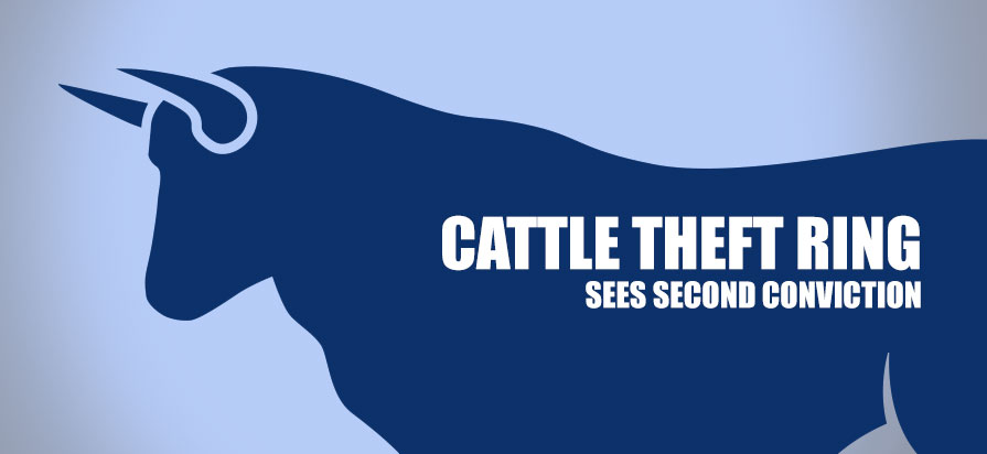 Carthage Cattle Theft Ring Sees Second Conviction with Stacie Laine Soape