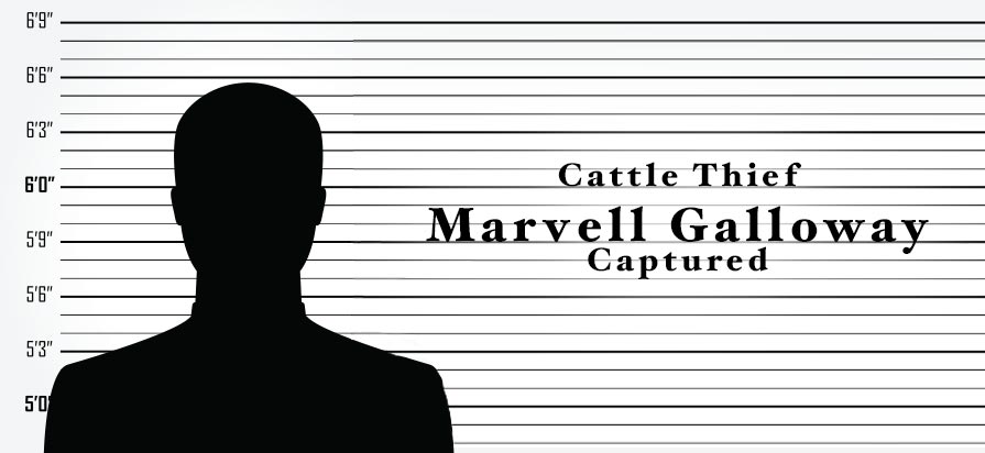 Texas Cattle Thief Marvell Galloway Captured in Ohio