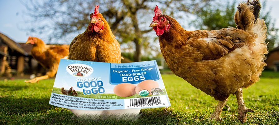 Organic Valley Launches Good to Go Hard-Boiled Eggs
