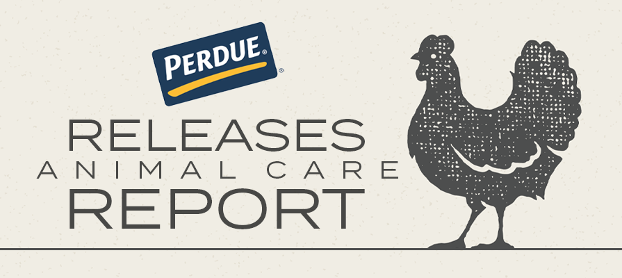 Perdue Farms Publishes 2022 Commitments to Animal Care Report; Mark McKay Details