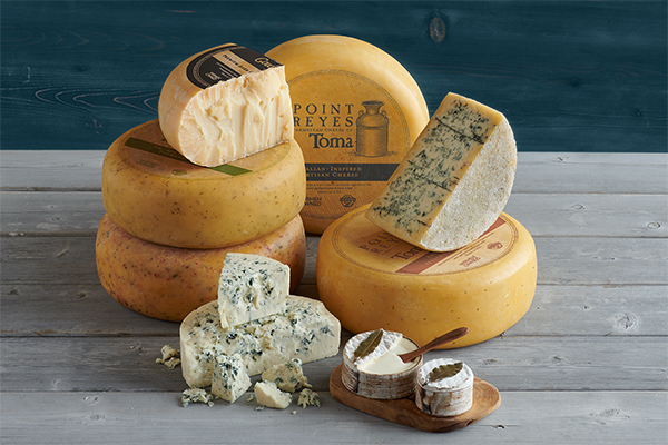 Today, the beloved Point Reyes lineup also includes Bay Blue, Fennel Blue, Toma, TomaRashi, TomaTruffle, TomaProvence, Gouda, Truffle Brie, and Quinta